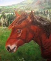 /album/fotogalerie/zenon-50-x-60-cm-jpg/